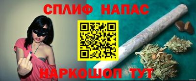 спиды Сланцы