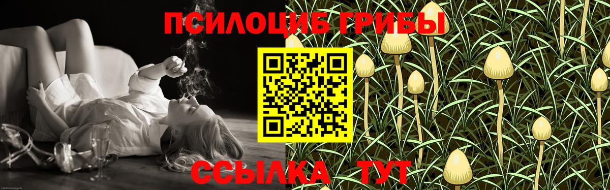 Галлюциногенные грибы мухоморы  Галлюциногенные грибы мухоморы  Вход с VPN  Осинники 